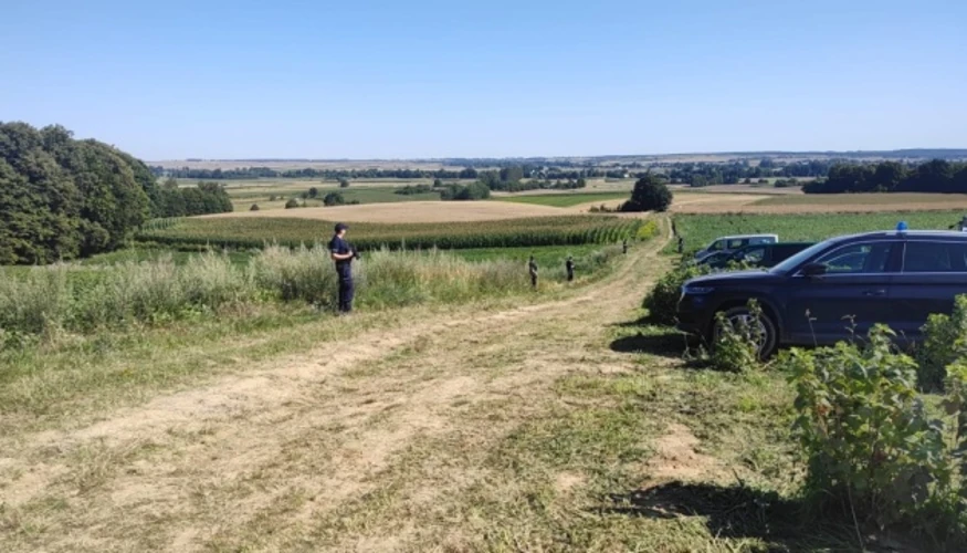 Х-101, що впала в Польщі: що вже підтвердило розслідування